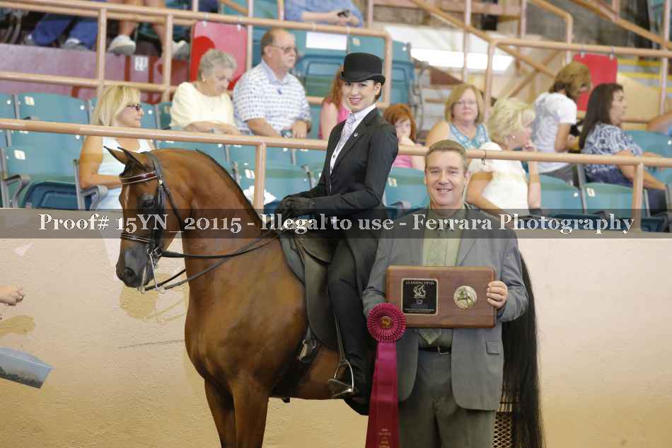 Proof 15YN_20115