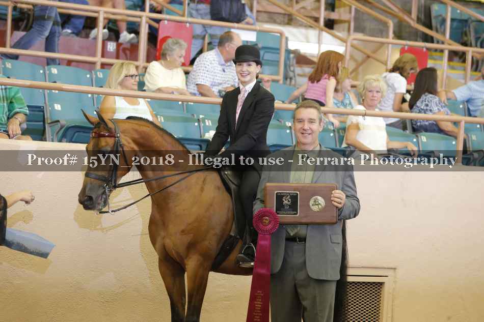 Proof 15YN_20118