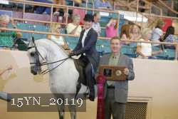 15YN_20119 proof
