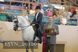15YN_20120 proof