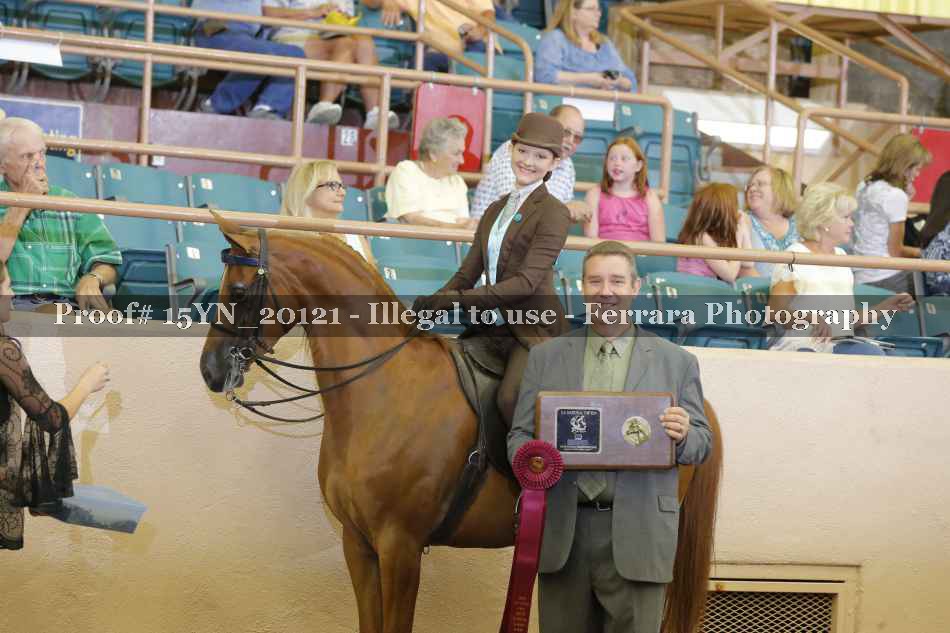 Proof 15YN_20121