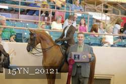 15YN_20121 proof