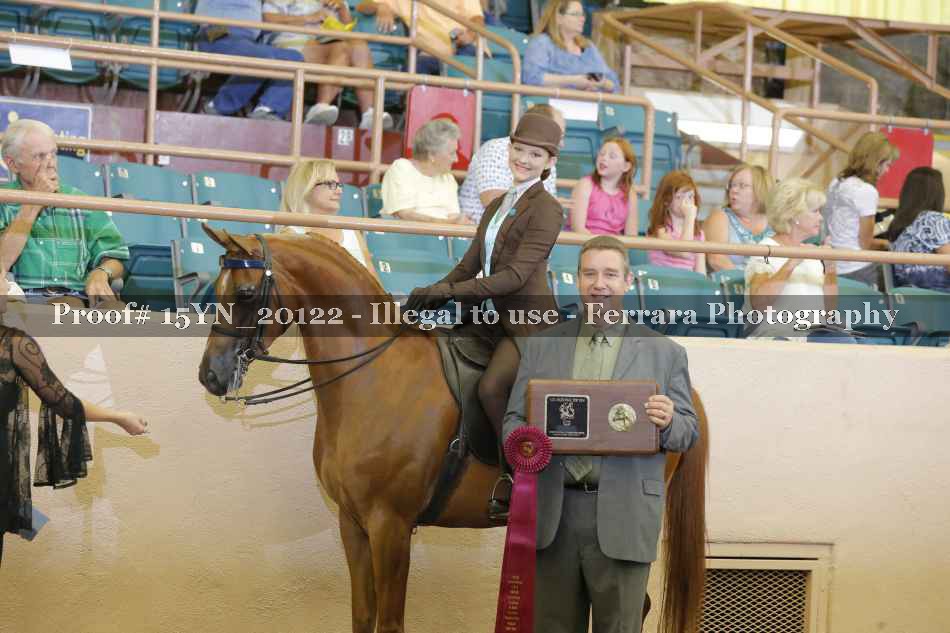 Proof 15YN_20122