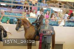 15YN_20122 proof