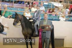 15YN_20124 proof