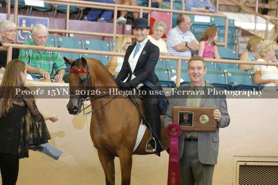 Proof 15YN_20126