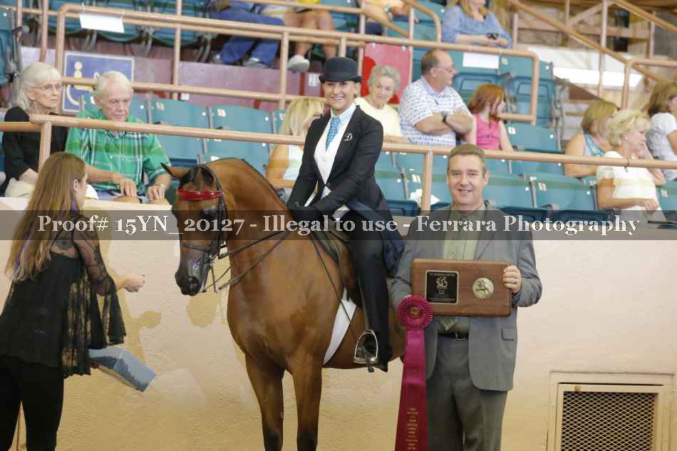 Proof 15YN_20127