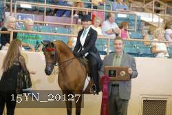 15YN_20127 proof