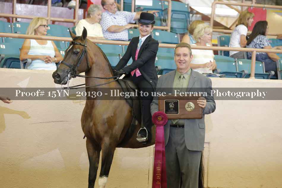 Proof 15YN_20130
