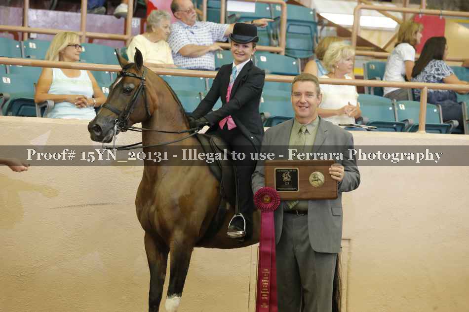 Proof 15YN_20131