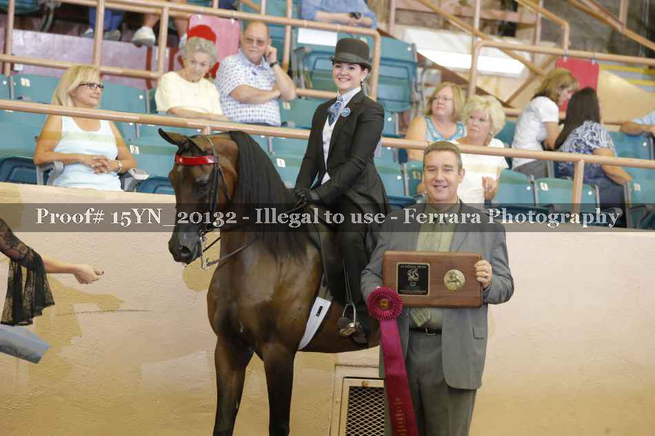 Proof 15YN_20132