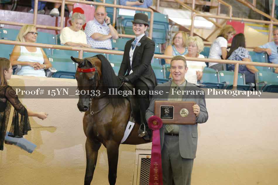 Proof 15YN_20133