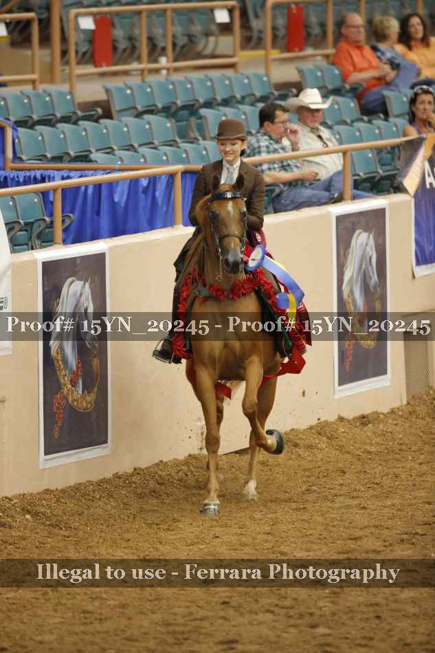 Proof 15YN_20245