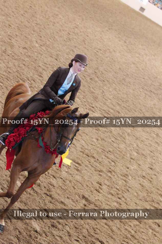 Proof 15YN_20254
