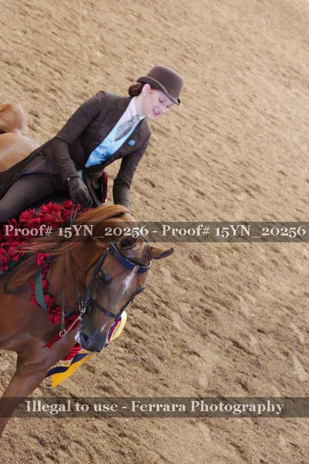 Proof 15YN_20256