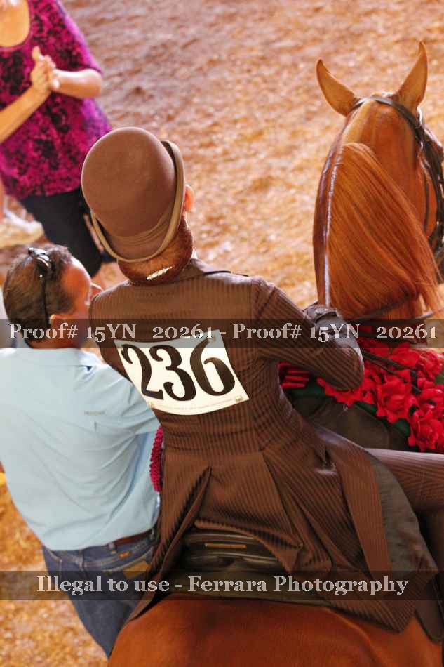Proof 15YN_20261