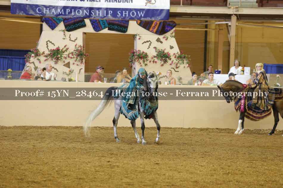 Proof 15YN_28464