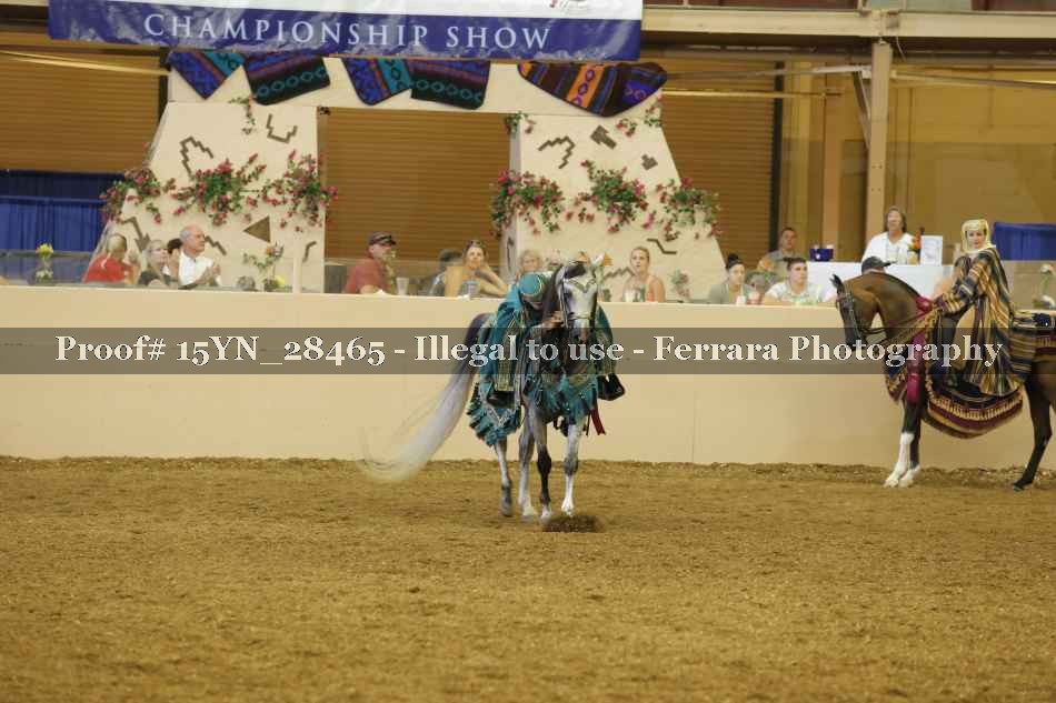Proof 15YN_28465