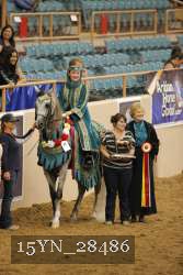 15YN_28486 proof