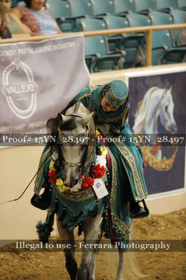 Proof 15YN_28497