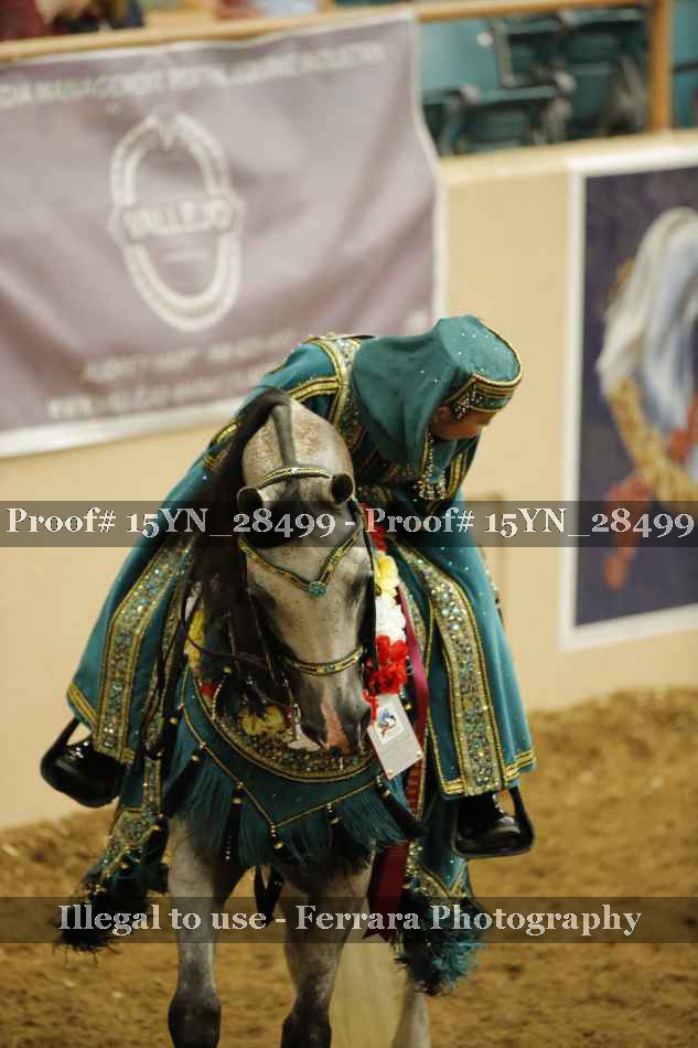 Proof 15YN_28499