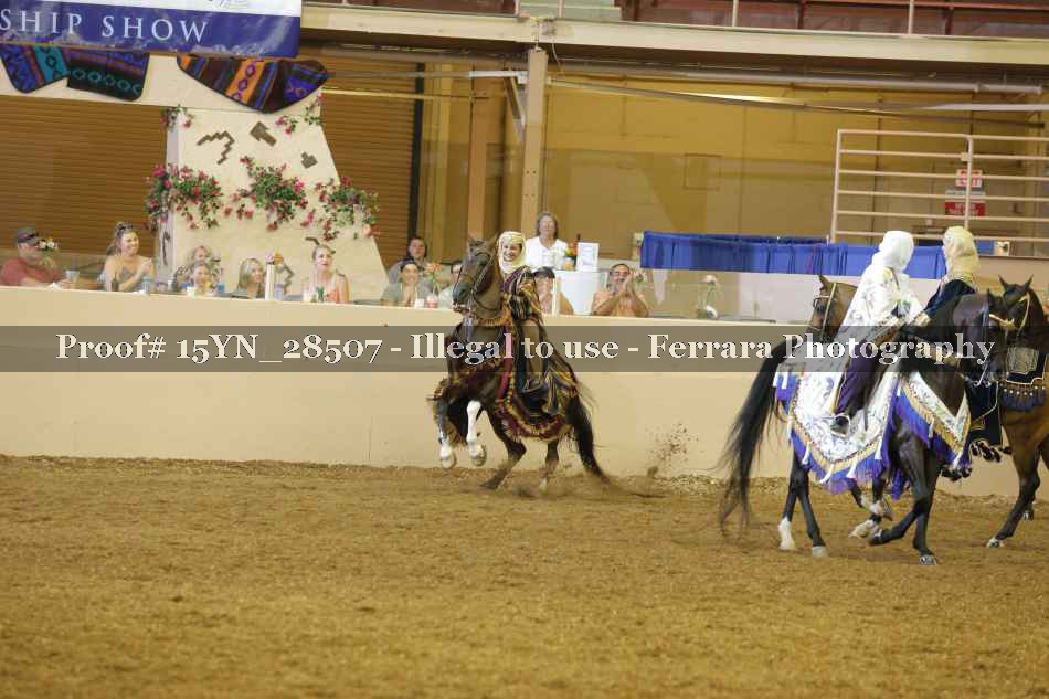 Proof 15YN_28507
