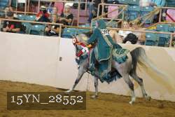15YN_28552 proof