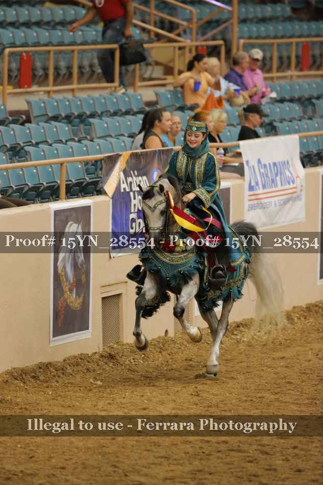 Proof 15YN_28554