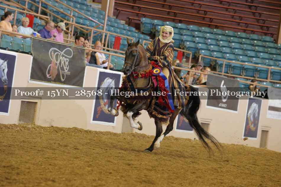 Proof 15YN_28568