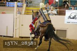 15YN_28581 proof