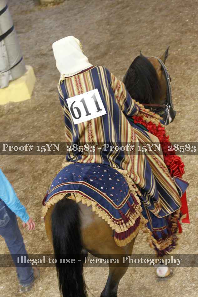 Proof 15YN_28583