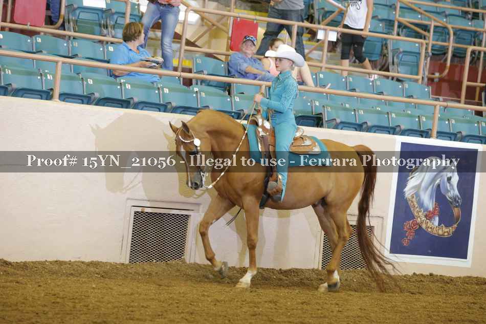 Proof 15YN_21056