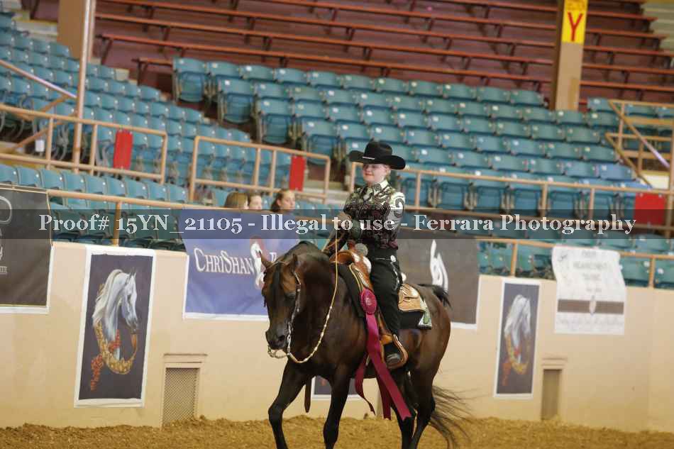 Proof 15YN_21105