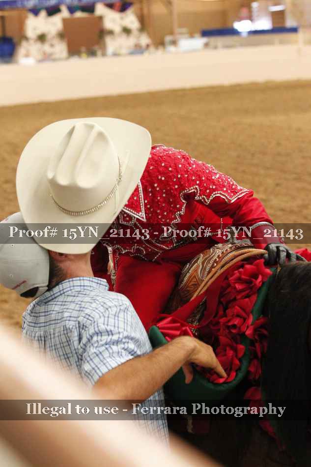 Proof 15YN_21143