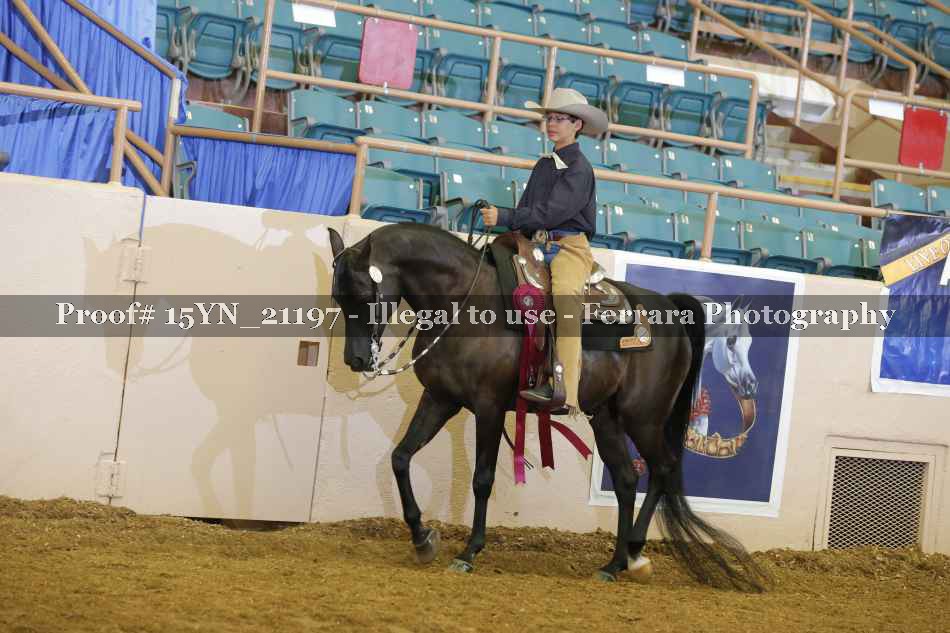 Proof 15YN_21197