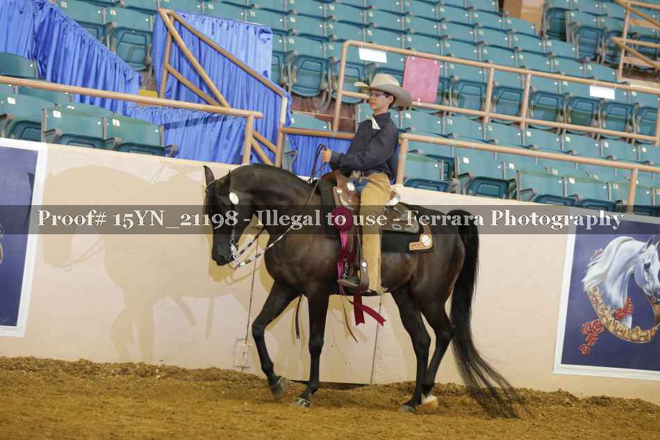 Proof 15YN_21198