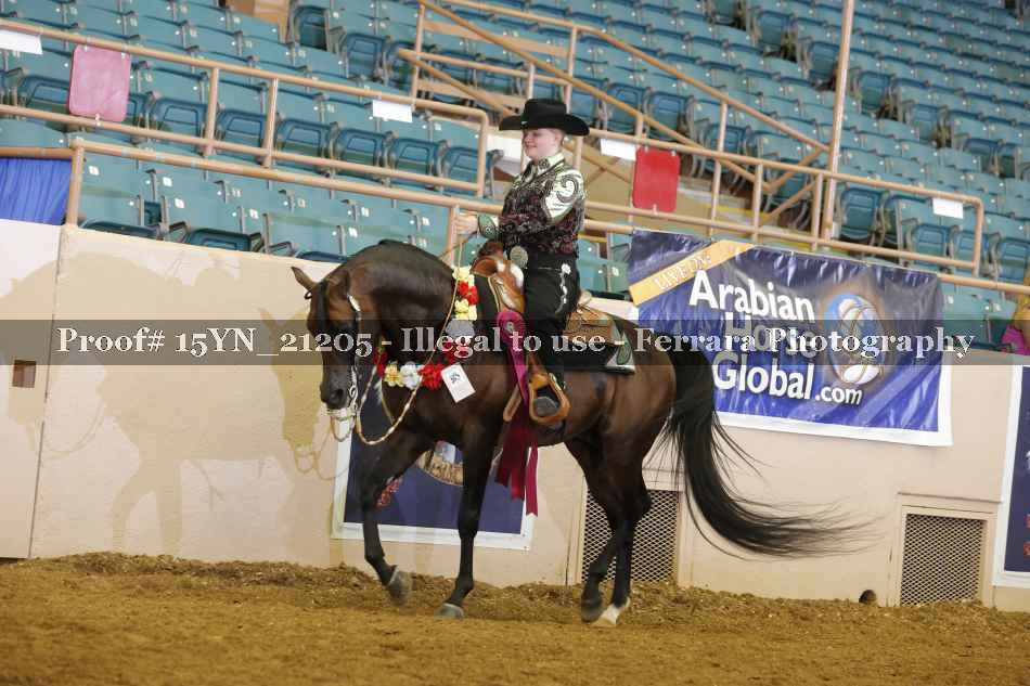 Proof 15YN_21205
