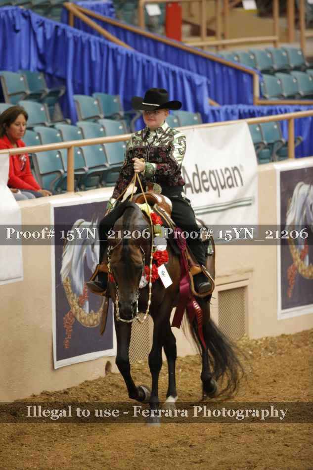 Proof 15YN_21206