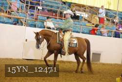 15YN_12471 proof