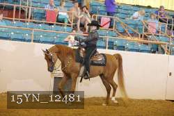 15YN_12481 proof