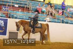 15YN_12482 proof