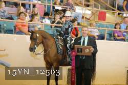15YN_12503 proof