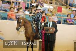 15YN_12504 proof