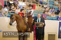 15YN_12508 proof