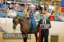 15YN_12515 proof