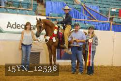 15YN_12538 proof