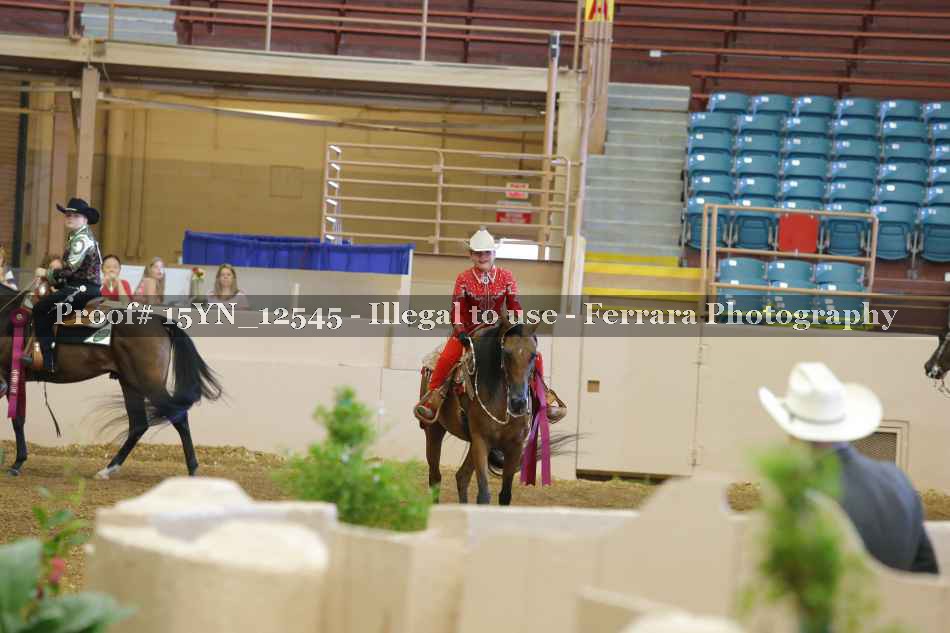 Proof 15YN_12545