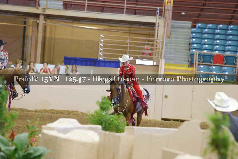 Proof 15YN_12547