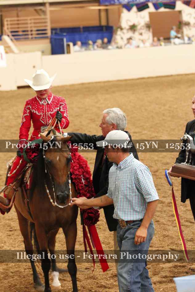 Proof 15YN_12553