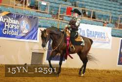 15YN_12591 proof